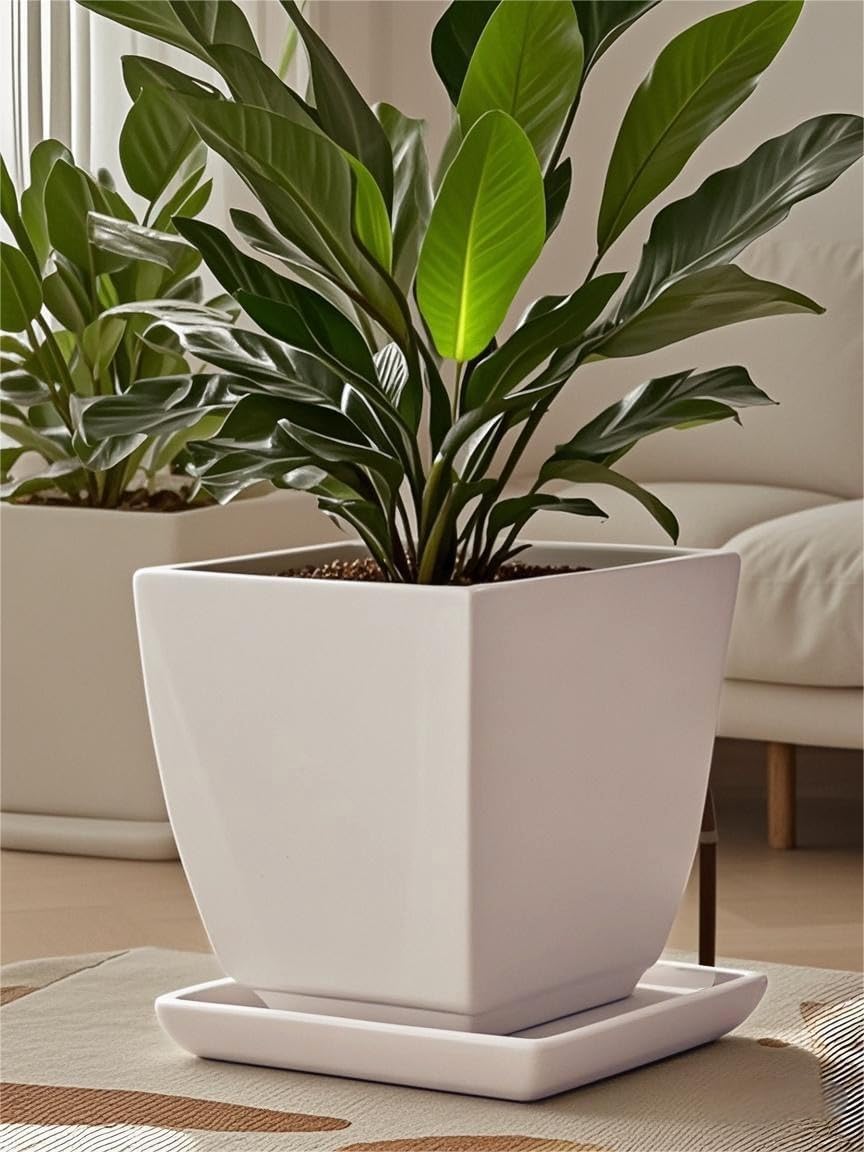 Square Plant Saucer 12 Inch 1 Pack,Plant Trays for Pots, White Ceramic Plant Saucers for Indoors Outdoors, Plant Drip Tray 4 6 8 10 12 14 Inch