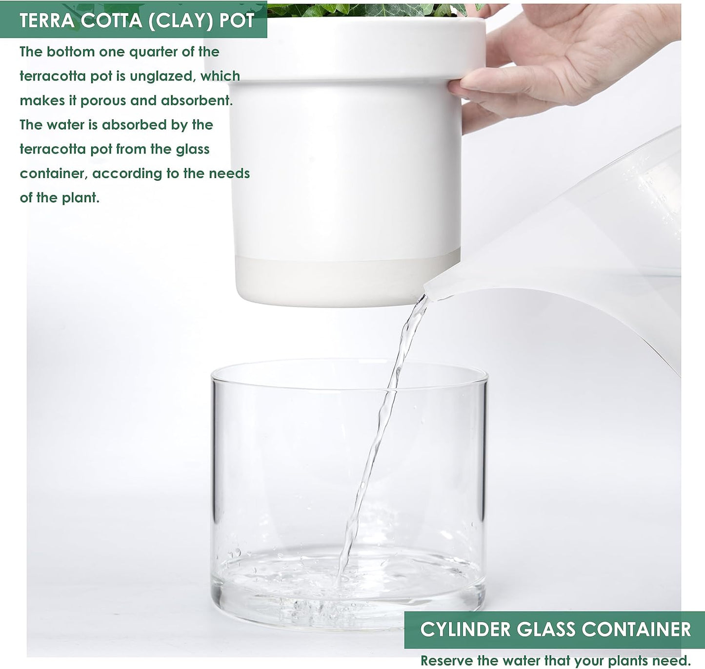 Phoenix Vine 6 Inch Self Watering Planter, White Terracotta Clay Pot with Glass Reservoir for Indoor Plants, Herbs, Flowers, Set of 2, 52-B-F-2