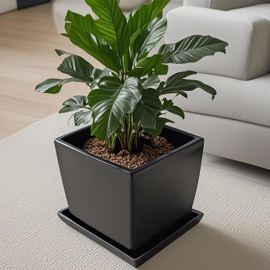 Square Plant Saucer 10 Inch 1 Pack，Plant Trays for Pots, Black Ceramic Plant Saucers for Indoors Outdoors, Plant Drip Tray 4 6 8 10 12 14 Inch