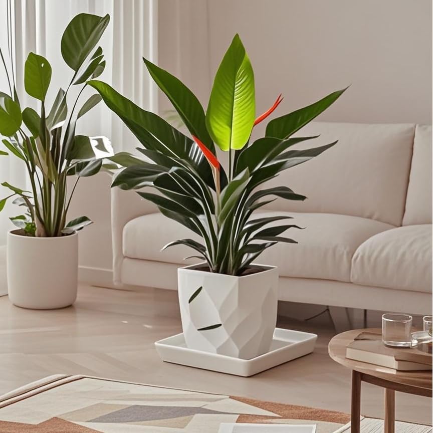 Square Plant Saucer 10 Inch 1 Pack，Plant Trays for Pots, White Ceramic Plant Saucers for Indoors Outdoors, Plant Drip Tray 4 6 8 10 12 14 Inch