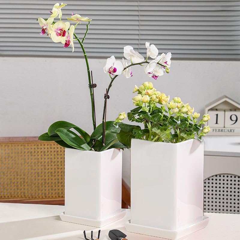 Square Plant Saucer 12 Inch 1 Pack，Plant Trays for Pots, White Ceramic Plant Saucers for Indoors Outdoors, Plant Drip Tray 4 6 8 10 12 14 Inch