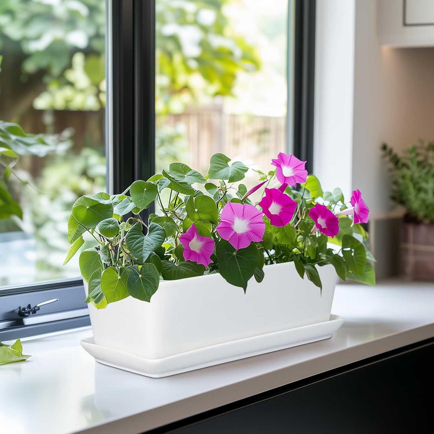 SQOWL Rectangular Planter - 10 Inch Ceramic Pots for Plants with Drainage Hole and Saucer, Succulent Pots for Indoor Outdoor, Cactus Herb Flower Planter, Home Decor, Gifts for Plant Lovers, White