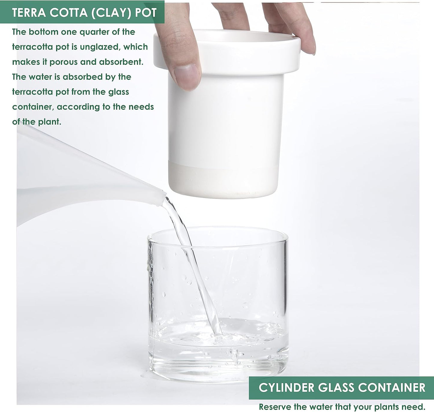 Phoenix Vine 4 Inch Self Watering Planter, White Terracotta Clay Pot with Glass Reservoir for Indoor Plants, Herbs, Flowers, Set of 1, 52-B-E-1