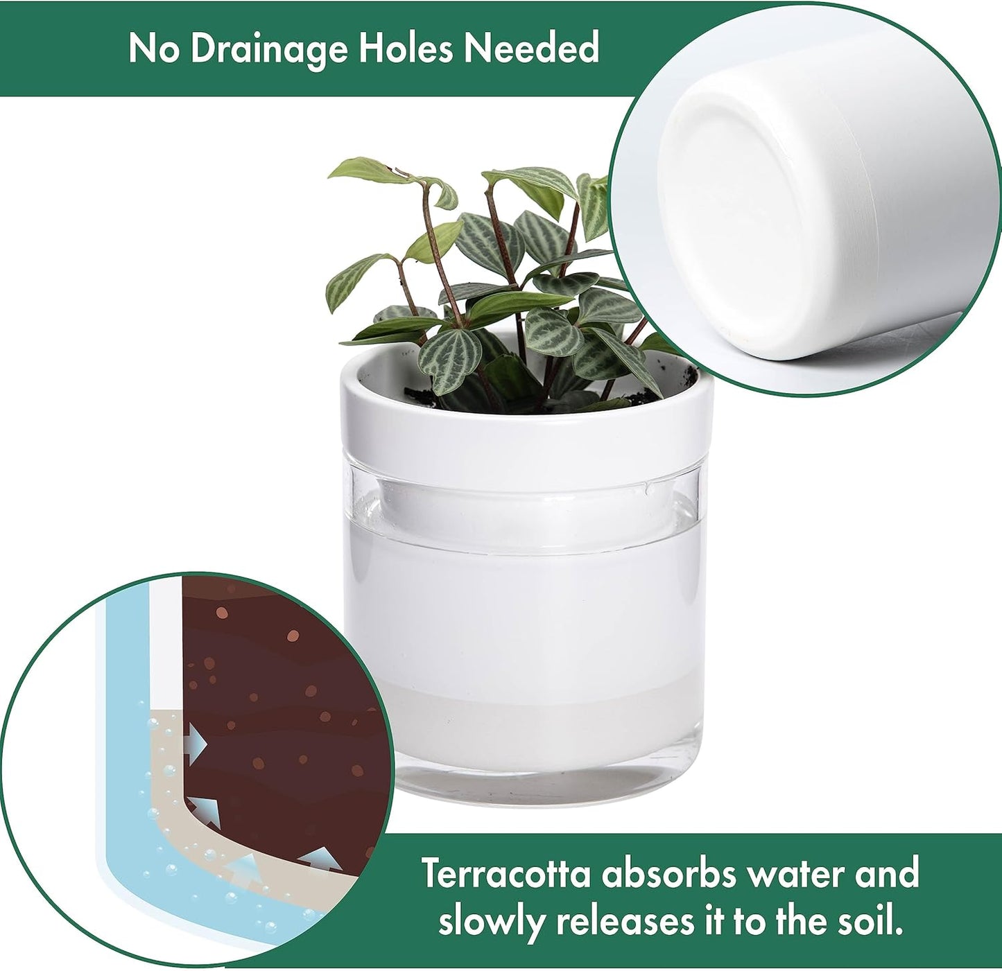 Phoenix Vine 4 Inch Self Watering Planter, White Terracotta Clay Pot with Glass Reservoir for Indoor Plants, Herbs, Flowers, Set of 3, 52-B-E-3