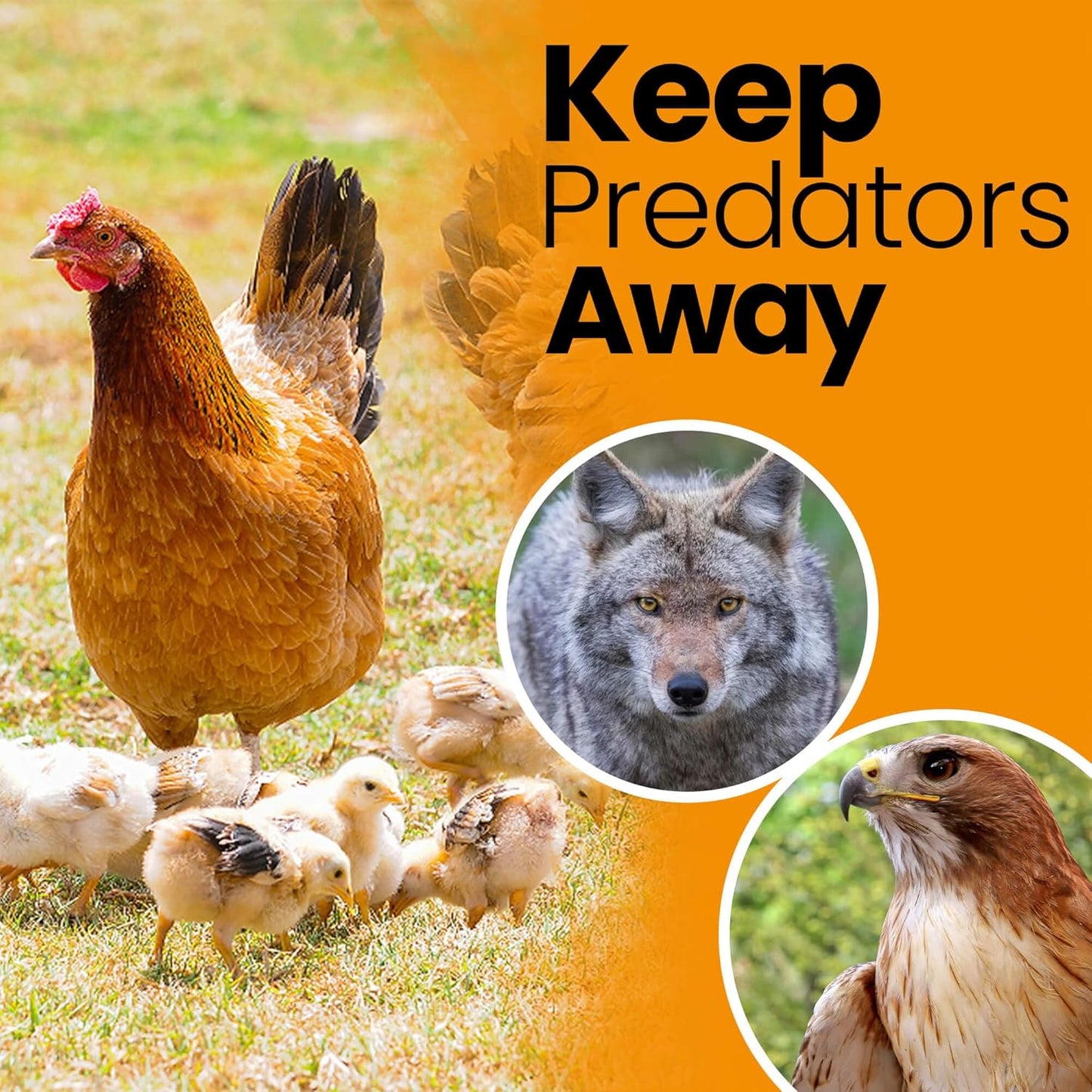 Heavy Duty Bird Netting for Chicken Coops & Runs | Tree & Garden Netting Mesh 1-1/2" | Keep Hawks, Birds & Predators Away | Bird Netting for Blueberry Bushes, Vegetables & Fruit (100' x 100')