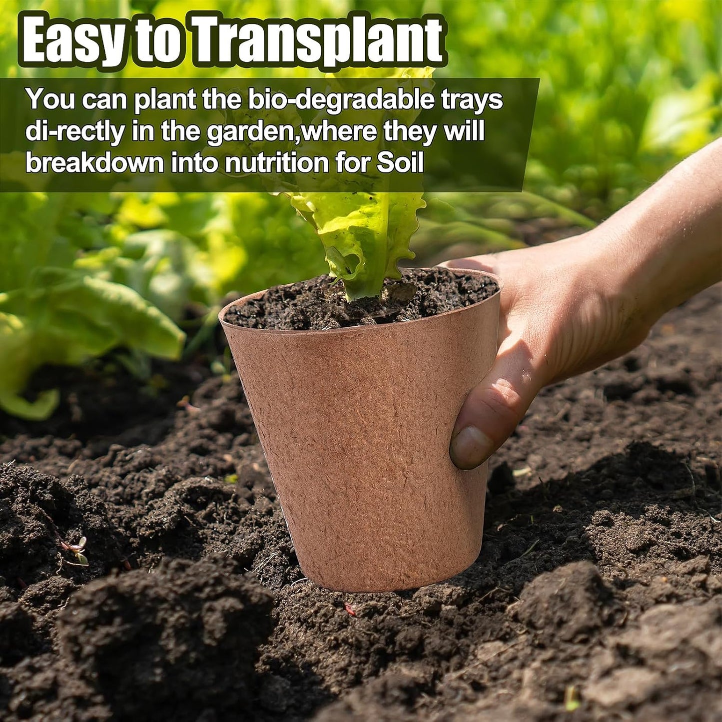 4 Inch Peat Pots, 50PCS Biodegradable Plant Starting Pots Round Nursery Pot, Garden Germination Nursery Pot Bonus 20 Plant Labels (4 Inch, 50P)