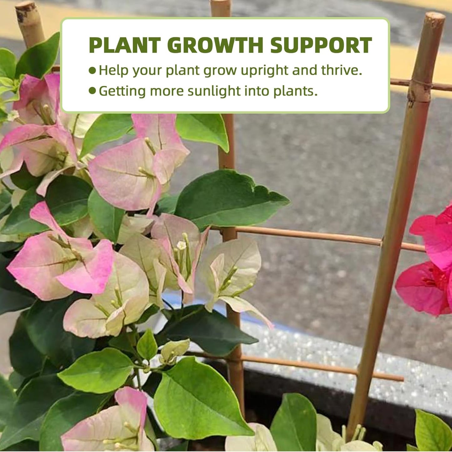 16Inch 5Pack Bamboo Trellis for Climbing Plants, Garden Ladder Trellis for Potted Plants Indoor, Fan Shaped Small Plant Support Trellis for HousePlants Ivy Vine Monstera 3-4