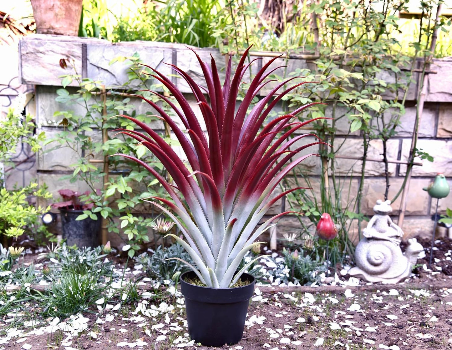 SUNPRAIRIE Hyper Realistic Big Red Artificial Aloe Vera Plant 26 Inches Tall. Large Faux Agave in Matte Black Pot.