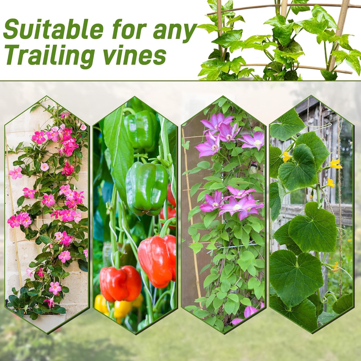 Avalution 10 Pack Bamboo Trellis for Climbing Plants, 3 FT Garden Ladder Trellis for Potted Plants Indoor, Fan-Shaped Small Plant Support Trellis for Houseplants Ivy Hoya Vine Monstera