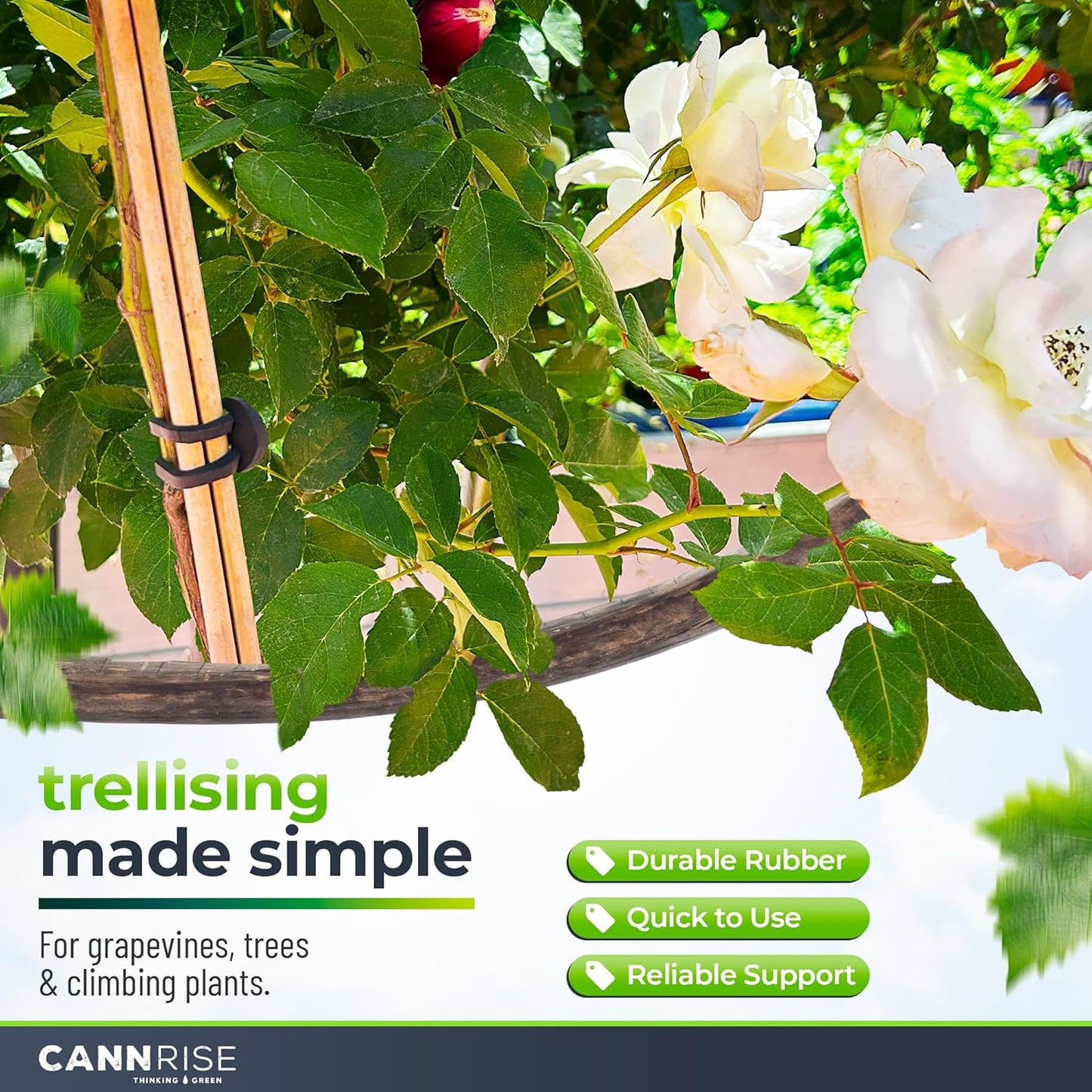 Anchor Rubber Bands for Trellising – 110 Pack of 5 cm/1.96 inches Rubber Bands for Outdoor Plant Support, Climbing Plants, Grape Vines, Trees – UV-Protected, Elastic, Multi-Purpose Use