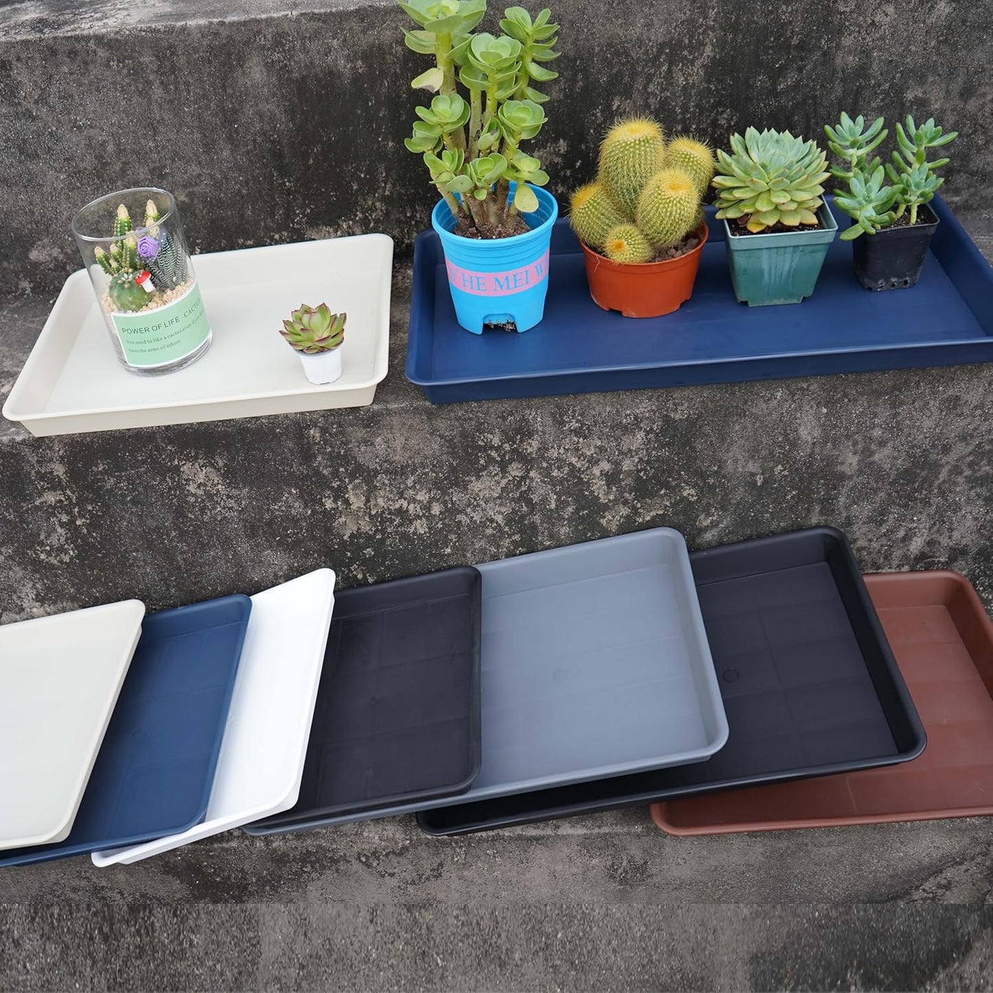 2 Pack Plant Growing Nursery 1020 Trays, Plant Saucer Tray, Heavy Sturdy Seed Starting Trays, Plant Starter Trays for Indoors No Holes, Seed Starter Growing Tray (22"x11.2", Blue)