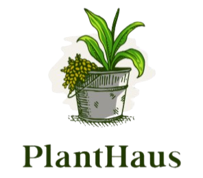 PlantHaus